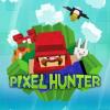 Pixel Hunter Box Art Front